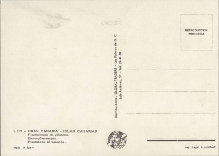 Gran Canaria - Spanien - Bananenpflanzen