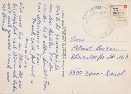 Schleswig-Holstein - Wild in den Wäldern