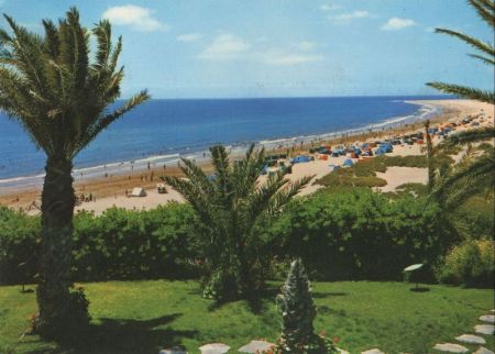 Playa del Inglés - Spanien - Palmen und Strand Playa del Inglés - Spanien - Palmen und Strand