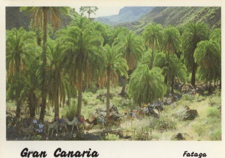 Gran Canaria - Spanien - Fataga Gran Canaria - Spanien - Fataga