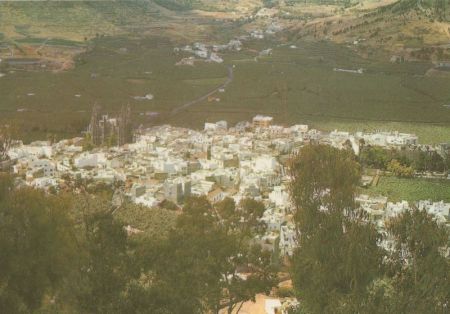 Arucas - Spanien - vega fertil Arucas - Spanien - vega fertil