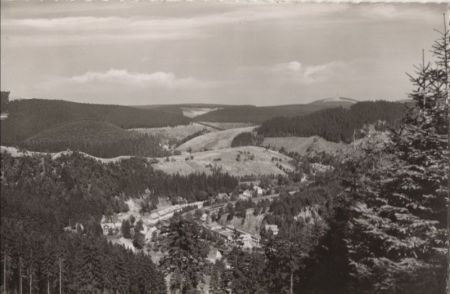 Wildemann - von den Luxklippen Wildemann - von den Luxklippen