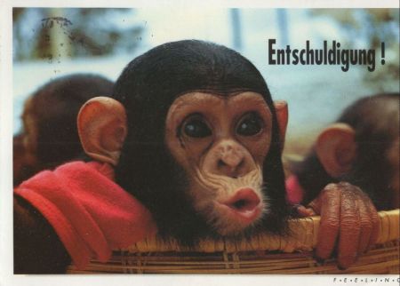 Entschuldigung Affe Entschuldigung Affe