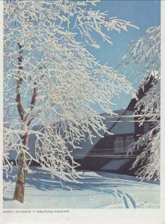 Winter mit Schnee Winter mit Schnee
