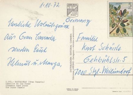 Maspalomas - Spanien - Camellos en las Dunas