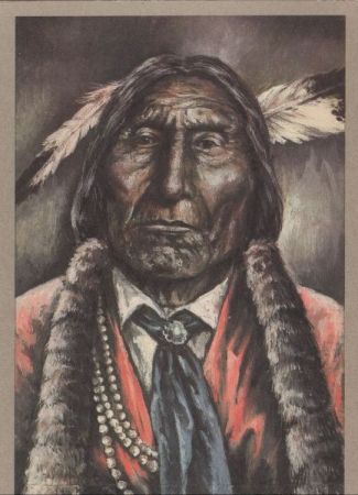 Cheyenne-Krieger - Wolf Robe Cheyenne-Krieger - Wolf Robe