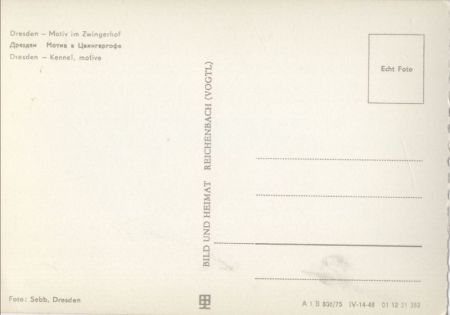 Dresden - Zwingerhof