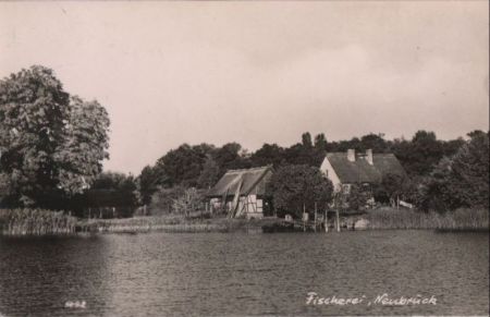 Schwielochsee-Neubrück - Fischerei Schwielochsee-Neubrück - Fischerei