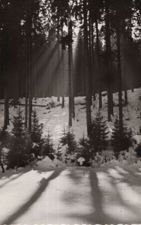 Königsfeld - Schwarzwald Königsfeld - Schwarzwald