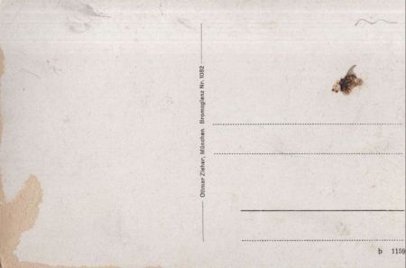 Burg Katz, St. Goarshausen - von oben