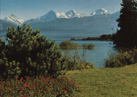 Thun - Schweiz - Gwatt mit Eiger Thun - Schweiz - Gwatt mit Eiger