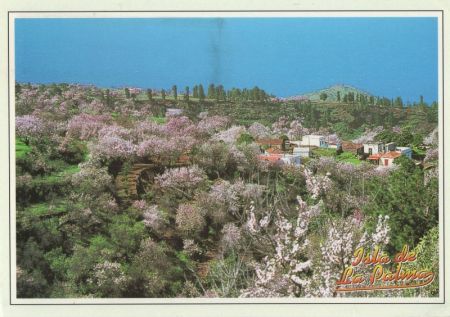 Puntagorda - Spanien - vista parcial Puntagorda - Spanien - vista parcial