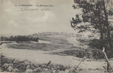 Argonne - Frankreich - Mamelon blanc Argonne - Frankreich - Mamelon blanc