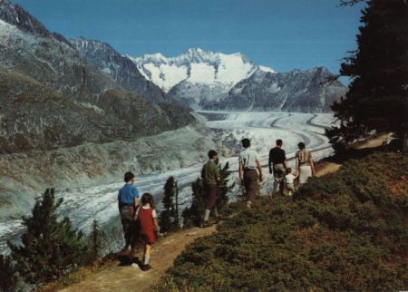 Aletschwald - Schweiz - Aletschgletscher Aletschwald - Schweiz - Aletschgletscher