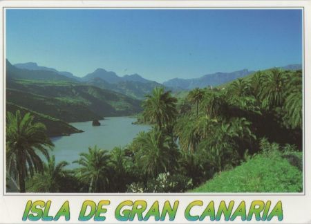 Ansite - Spanien - Seevogel-Treff Ansite - Spanien - Seevogel-Treff