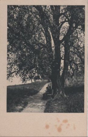 Unterm Baum rasten - ca. 1955 Unterm Baum rasten - ca. 1955