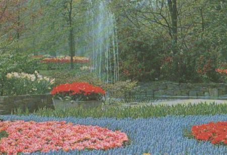 Niederlande - Keuknhof - Lisse-Holland - ca. 1975 Niederlande - Keuknhof - Lisse-Holland - ca. 1975