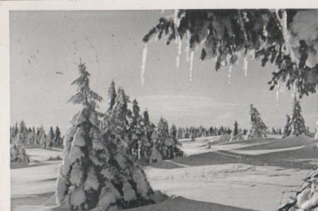 Braunlage - Winterpracht am Achtermann - ca. 1955 Braunlage - Winterpracht am Achtermann - ca. 1955