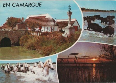 Frankreich - Camargue - 4 Teilbilder - 1989 Frankreich - Camargue - 4 Teilbilder - 1989