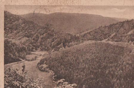 Treseburg Harz - Wilhelmsblick - 1924 Treseburg Harz - Wilhelmsblick - 1924