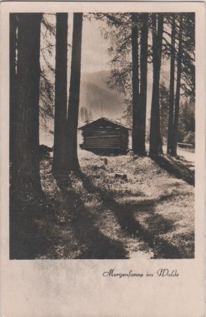 Morgensonne im Walde - ca. 1950 Morgensonne im Walde - ca. 1950