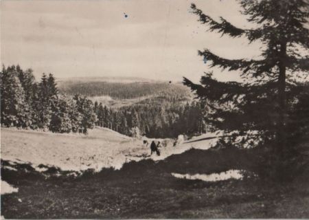 Altenberg-Bärenburg - Blick über die Försterwiese - 1972 Altenberg-Bärenburg - Blick über die Försterwiese - 1972