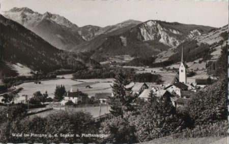 Österreich - Wald im Pinzgau - g.d. Seekar - ca. 1960 Österreich - Wald im Pinzgau - g.d. Seekar - ca. 1960