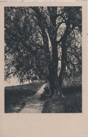 Unterm Baum Rast halten - ca. 1955 Unterm Baum Rast halten - ca. 1955