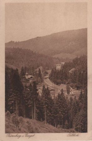 Altenberg-Bärenburg - Talblick - ca. 1935 Altenberg-Bärenburg - Talblick - ca. 1935
