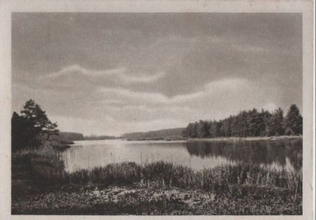See im Wald - ca. 1950 See im Wald - ca. 1950