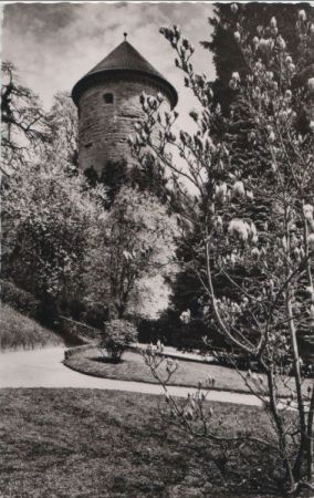 Überlingen - Stadtgarten mit Gallerturm - 1965 Überlingen - Stadtgarten mit Gallerturm - 1965