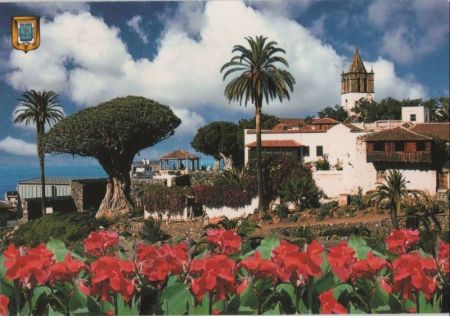 Spanien - Teneriffa - Tausendjähriger Drachenbaum - 2002 Spanien - Teneriffa - Tausendjähriger Drachenbaum - 2002