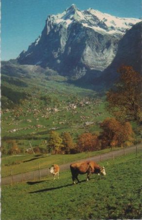 Grindelwald - Schweiz - Wetterhorn Grindelwald - Schweiz - Wetterhorn