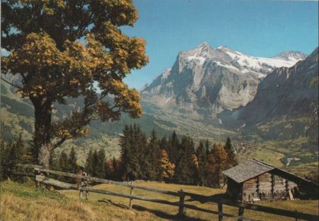 Schweiz - Grindelwald - Wetterhorn - ca. 1980 Schweiz - Grindelwald - Wetterhorn - ca. 1980