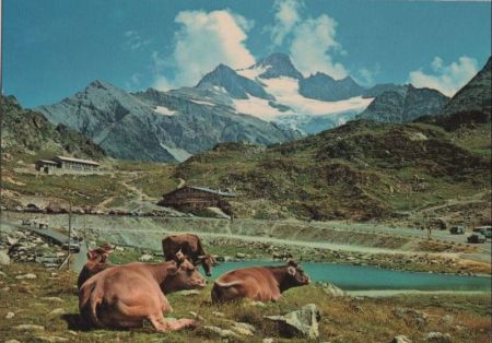 Schweiz - Sustenpass - Stucklistock - ca. 1975 Schweiz - Sustenpass - Stucklistock - ca. 1975