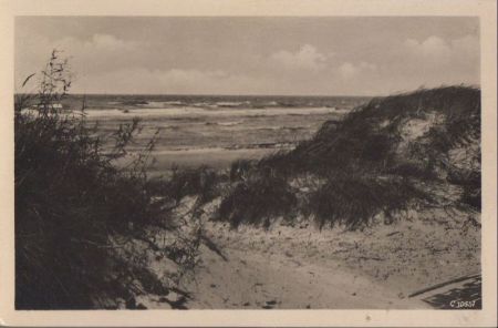 Dünen am Meer - ca. 1955 Dünen am Meer - ca. 1955