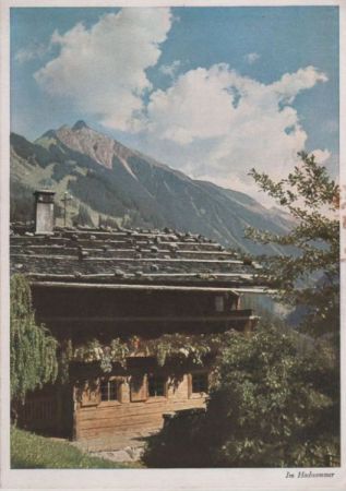 Österreich - Mayrhofen - Am Brandberg im Hochsommer - ca. 1965 Österreich - Mayrhofen - Am Brandberg im Hochsommer - ca. 1965