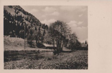 Wiese am Teich Wiese am Teich