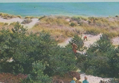 Dänemark - Bornholm - Dünen bei Dueodde - 1977 Dänemark - Bornholm - Dünen bei Dueodde - 1977