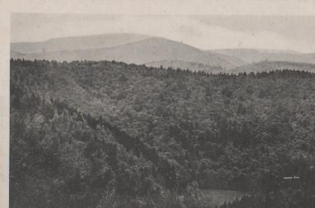 Braunlage - Hohegeiss - Wolfsbachtal v. Lampertsberg - ca. 1955 Braunlage - Hohegeiss - Wolfsbachtal v. Lampertsberg - ca. 1955