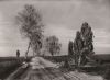 Einsamer Heideweg - ca. 1965