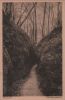Preview image: Eisenach - Drachenschlucht - ca. 1950 Eisenach - Drachenschlucht - ca. 1950