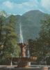 Bad Reichenhall - Solebrunnen im Kurpark mit Predigtstuhl - 1964