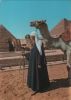 Ägypten - Gizeh - Giza - Sphinx und Pyramiden - ca. 1985