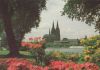 Köln - Frühjahr am Dom - 1982
