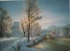 Schweiz - Engadin - Rauhreif - ca. 1975