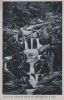 Wernigerode - Wasserfall Steinerne Renne - 1951