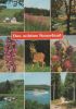 Sauerland - mit 9 Bildern - 1989