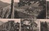 Schwarzburg u.a. Bergbahn - 1964