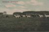 Dänemark - Kopenhagen - Eremitagen - ca. 1925